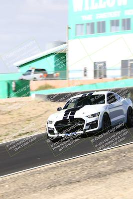 media/Oct-01-2023-VIP Trackdays (Sun) [[8c13cf1485]]/C Group/session 1 turn 4b/